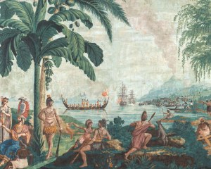 Captain Cook's travels -  antique wallpaper